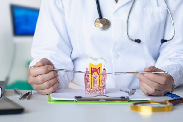 Best Dentist for Tooth Abscess  in Dubois, PA